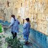 Spielende Kinder, Beirut, März 1998