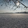 Feld im Winter, Greifensee 2010