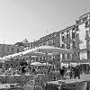 Piazza delle erbe, Padova 2012