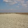 Ebene bei Saint Marie la mer, Camargue 2005