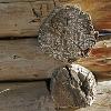 Holzbalken einer Scheune, Savognin 2010