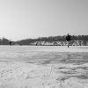 Auf dem Katzensee, 2011